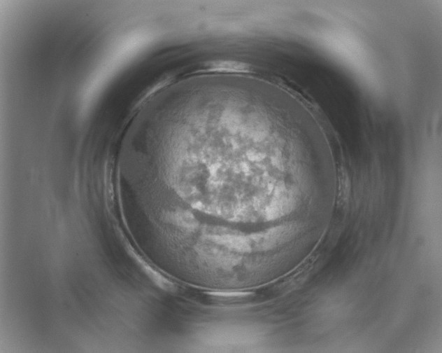 X0000075891487200609291653