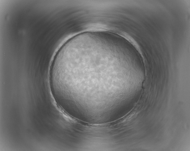 X0000075891488200609291653