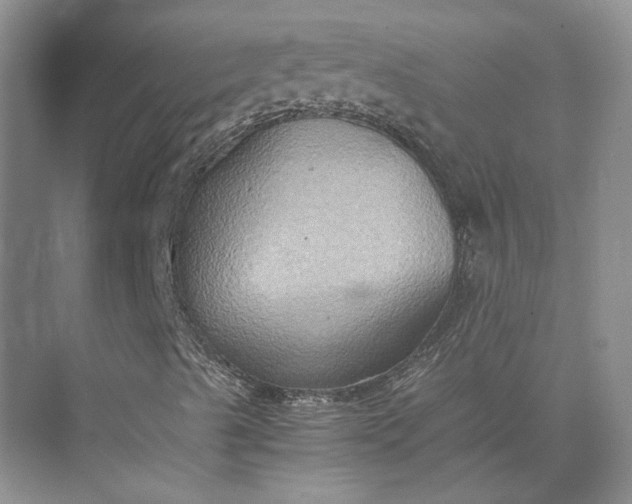 X0000075891489200609291652