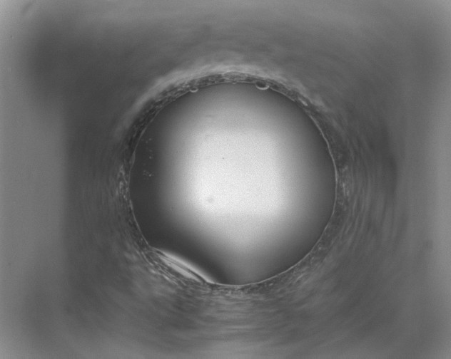 X0000075891495200609291652