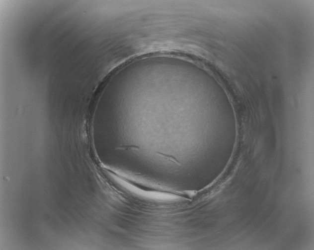 X0000075891497200609291652