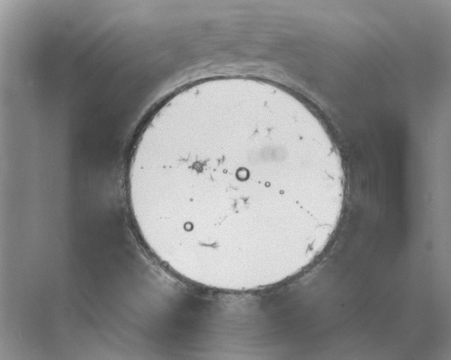 X0000075891498200609291652