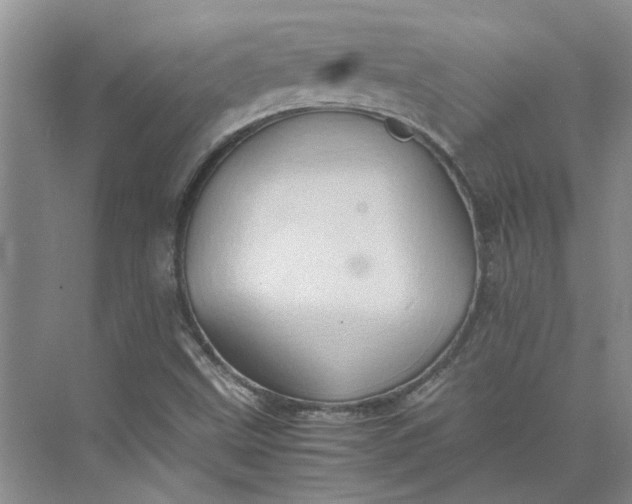 X0000075891499200609291652