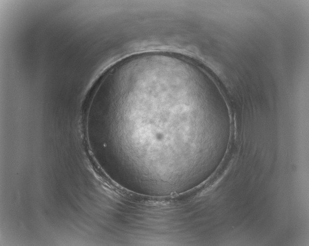 X0000075891501200609291652