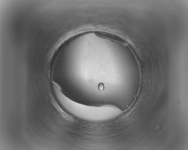 X0000075891503200609291652