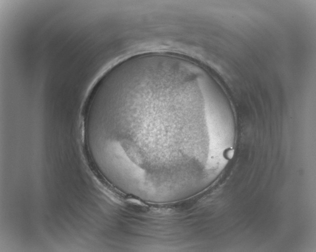 X0000075891509200609291652