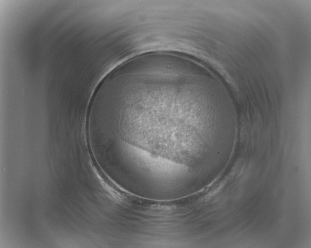 X0000075891513200609291652