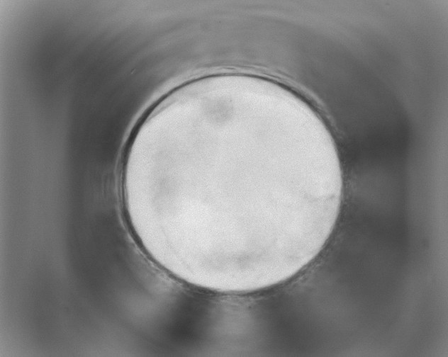 X0000075891514200609291652