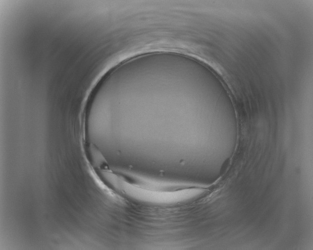 X0000075891515200609291652