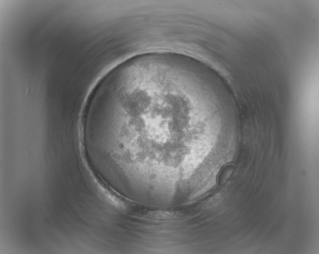 X0000075891517200609291652