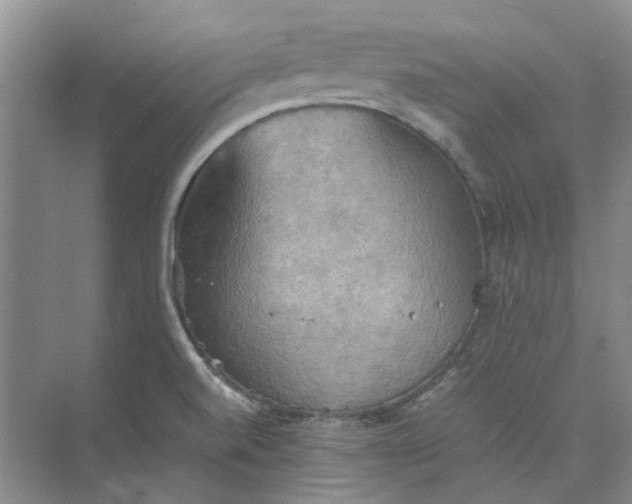 X0000075891520200609291652