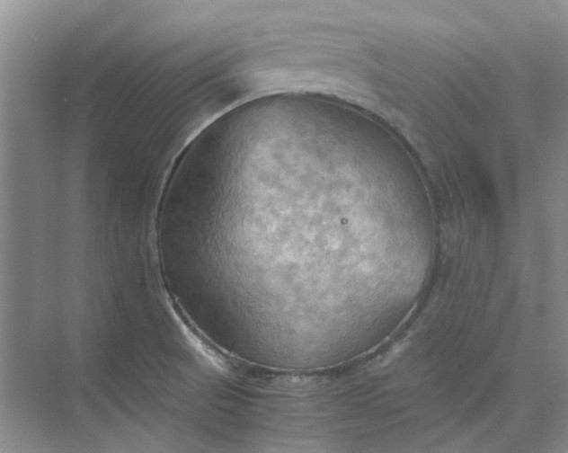 X0000075891521200609291652