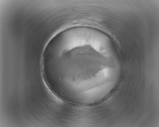 X0000075891522200609291652