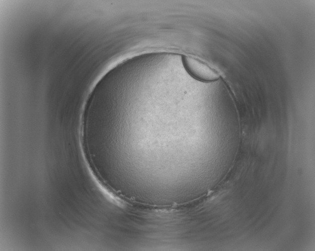 X0000075891523200609291652