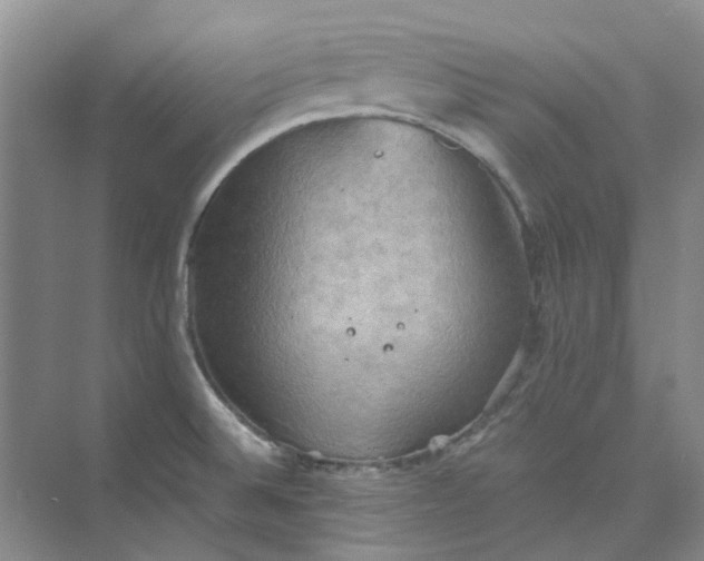 X0000075891524200609291652