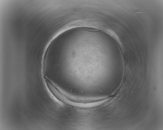 X0000075891528200609291652