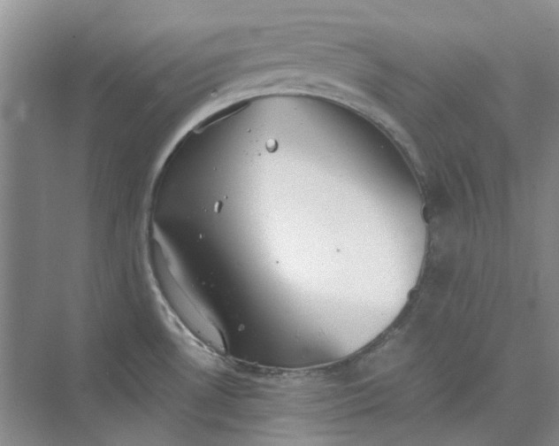 X0000075891530200609291653