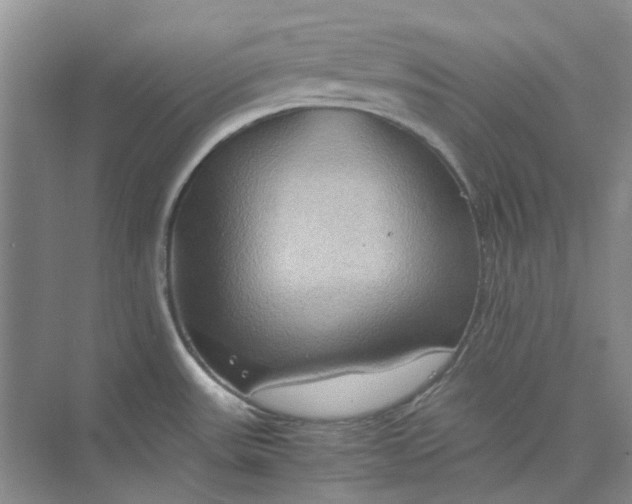 X0000075891531200609291653