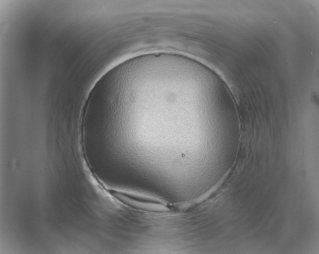 X0000075891534200609291653