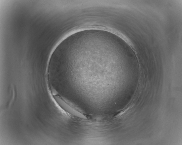 X0000075891536200609291653