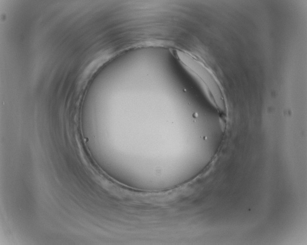 X0000075890001200610062104