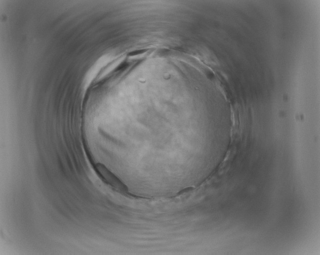 X0000075890003200610062104