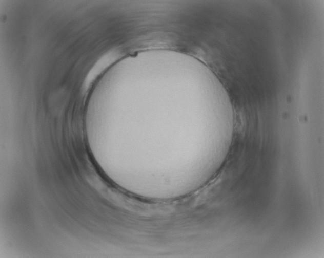 X0000075890004200610062104