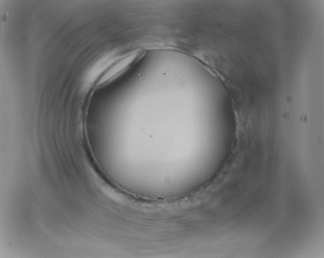 X0000075890005200610062104