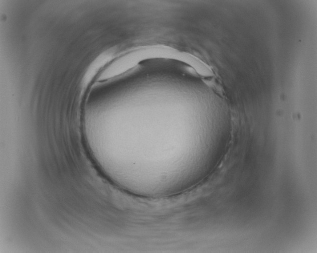 X0000075890006200610062104