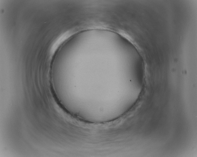 X0000075890007200610062104