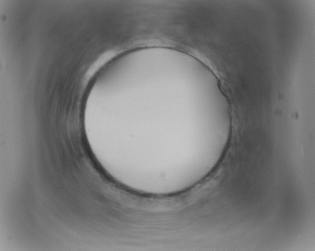 X0000075890008200610062104