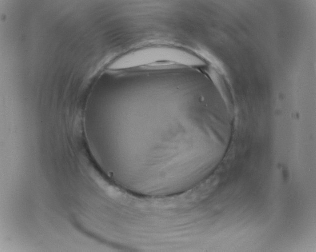 X0000075890009200610062104