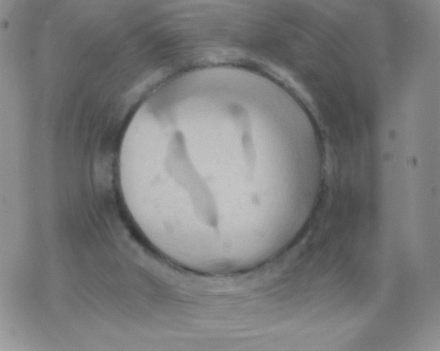 X0000075890010200610062104