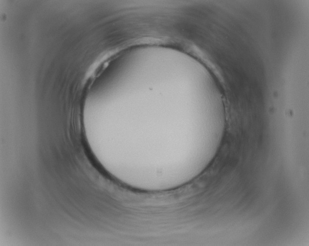 X0000075890011200610062104