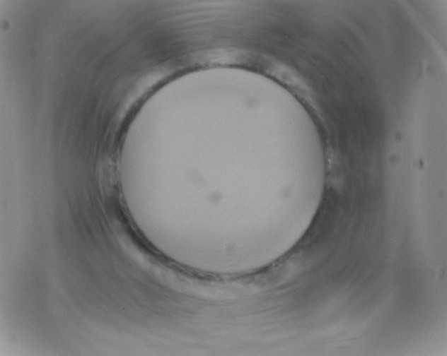 X0000075890012200610062104