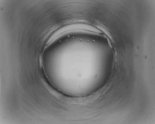 X0000075890013200610062104