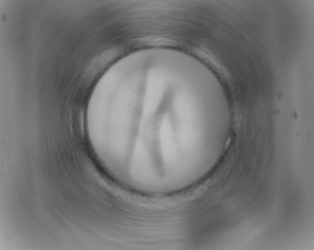 X0000075890014200610062104