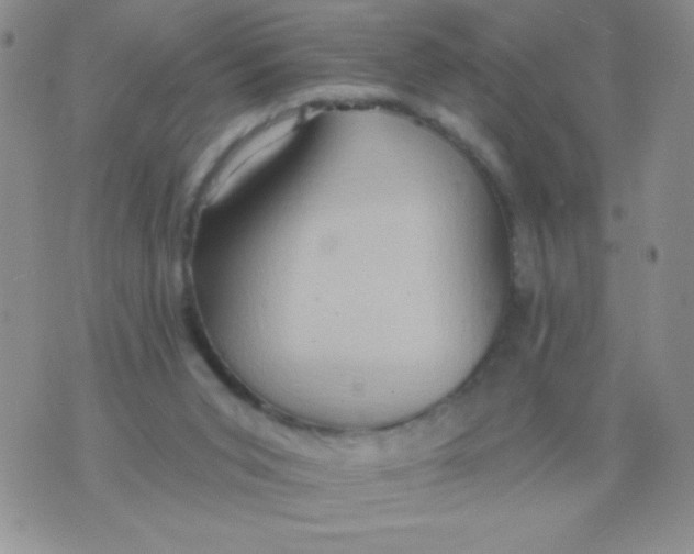 X0000075890015200610062104