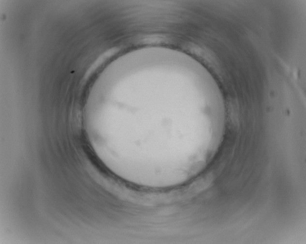 X0000075890016200610062104