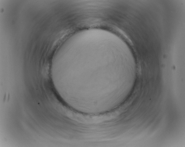 X0000075890018200610062104