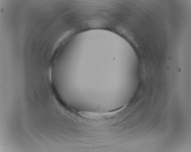 X0000075890019200610062104