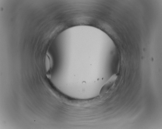 X0000075890021200610062104