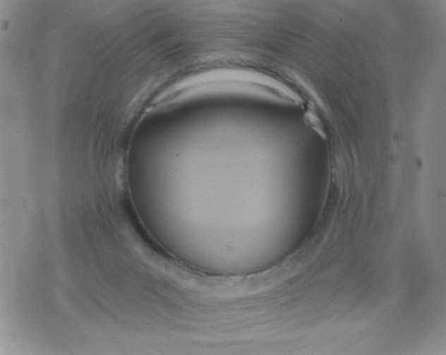 X0000075890023200610062104