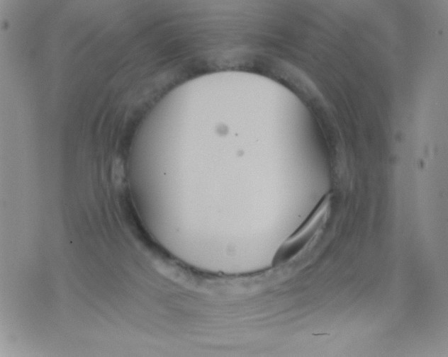 X0000075890025200610062104