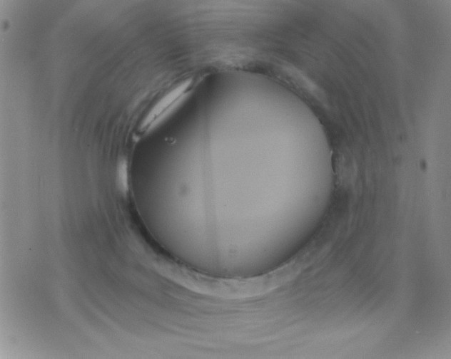 X0000075890027200610062104