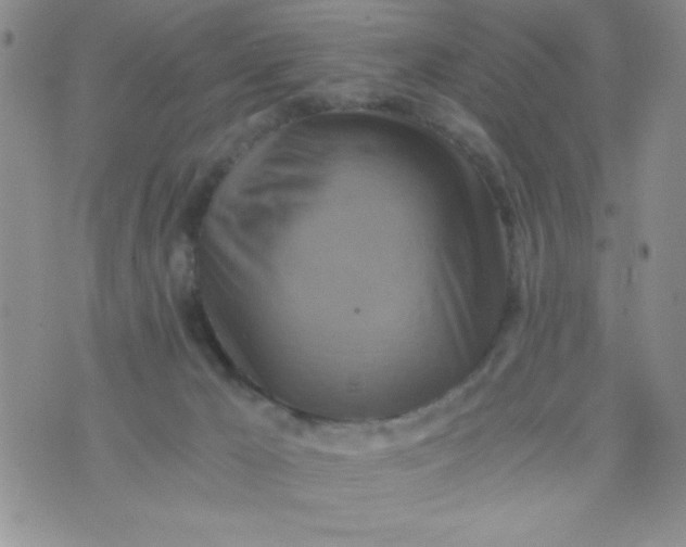 X0000075890029200610062104