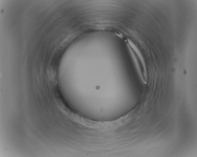 X0000075890031200610062104