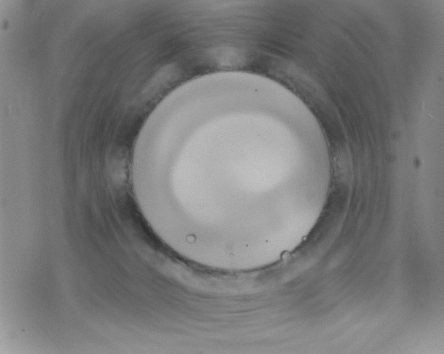 X0000075890032200610062104