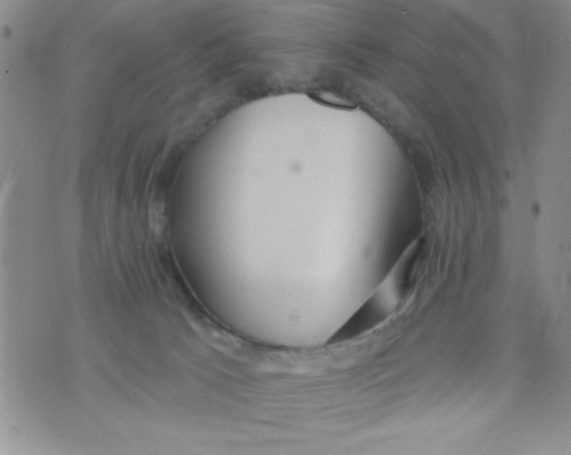 X0000075890033200610062104