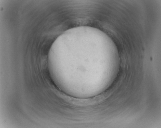 X0000075890034200610062104